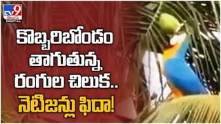 Viral Video: వర్షం పడుతుండగా కూతురి ఆన్ లైన్ క్లాసుల కోసం గొడుగు పట్టుకుని నిలబడిన తండ్రి.. ( వీడియో )