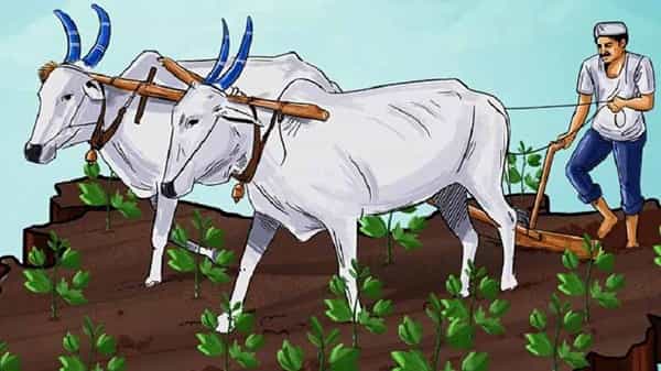 PM Kisan Registration : కొత్త రైతులకు సువర్ణవకాశం..! పీఎం కిసాన్ రిజిస్ట్రేషన్ తెరిచే ఉంది.. ఆన్లైన్, ఆఫ్లైన్లో