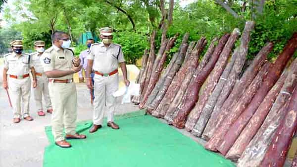 Police Busted Red Sandalwood Dump: తీగ లాగితే ఎర్ర చందనం డంక కదిలింది.. 27 దుంగలు స్వాధీనం.. నలుగురు అరెస్ట్!