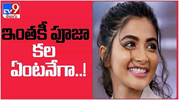 Pooja Hegde: తను అనుకున్న కల తీరింది అని చెబుతోన్న పూజ... ఇంతకీ ఆ కల ఏంటనేగా..?? ( వీడియో )