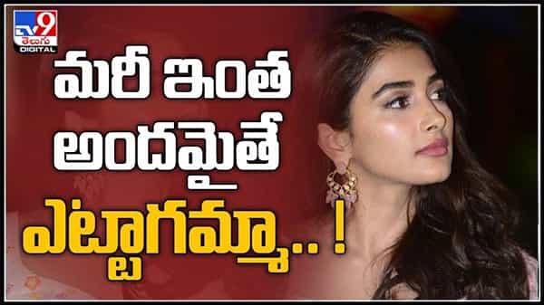 Pooja Hegde Video:హాట్ నెస్‌ ఓవర్‌లోడెడ్ బుట్టబొమ్మా.. మ‌రీ ఇంత అంద‌మైతే ఎట్టాగ‌మ్మా.. !వీడియో.