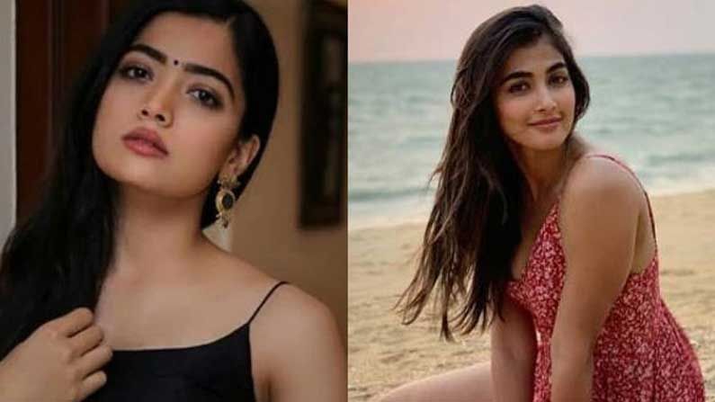 Pooja Hegde Rashmika Mandanna: అమ్మో.. ఈ నాయిక‌ల స్ట్రాట‌జీలు మాములుగా లేవు.. ప‌క్కా ప్లానింగ్