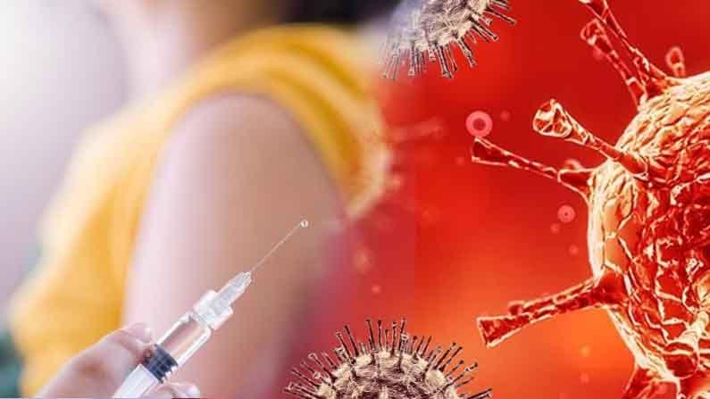 Post Vaccination Corona: కరోనా టీకా తీసుకున్న తరువాత వైరస్ సోకే అవకాశం ఎంత? అప్పుడు కనిపించే లక్షణాలు ఏమిటి?