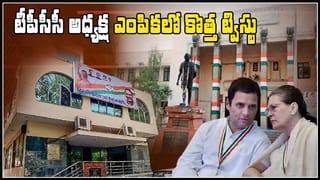 Monkey Humanity: రోడ్డు దాటలేక అవస్థలు పడిన పిల్లి పిల్లను జాగ్రత్తగా రోడ్డు దాటించిన కోతి