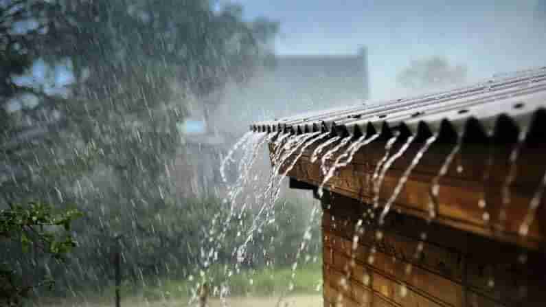 Telangana Rain Alert: తెలంగాణలో భారీ వర్షాలు.. రాష్ట్రంలోని ఈ జిల్లాల్లో కుండపోత వానలు