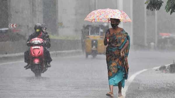 Rain Update: బంగాళాఖాతంలో స్థిరంగా కొనసాగుతున్న అల్పపీడనం.. తెలుగు రాష్ట్రాలో భారీ వర్షాలు..!
