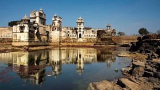 Leopard: కోతి కాదు చిరుతే.. చెట్లపై యమ జంపింగ్‌లు చేస్తున్న చిరుత.. చూస్తే షాకే.. వీడియో