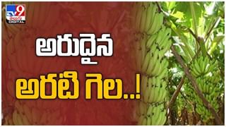 Viral Video: బీహార్ లో మహిళకు 5 నిముషాల్లో రెండు రకాల వేర్వేరు వ్యాక్సిన్లు.. ( వీడియో )