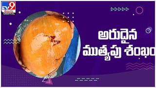 Golden Blood Group: అత్యంత అరుదైన గోల్డెన్ బ్లడ్ గ్రూప్… ఈ  బ్లడ్ గ్రూప్ ఇక్కడ తెలుసుకోండి… ( వీడియో )