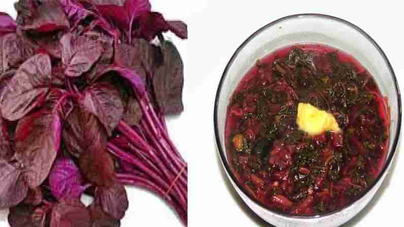 Red Amaranth Curry: ఎముకల్లో క్యాల్షియం తక్కువగా ఉందా.. ఎర్రతోటకూరను తింటే సరి.. పొడికూర ఎలా చేసుకోవాలంటే