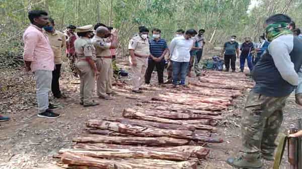 Red sandalwood Seized: ఆగని కలప అక్రమ రవాణా.. పది ఎర్రచందనం డంప్లను ఛేదించిన టాస్క్ ఫోర్స్..