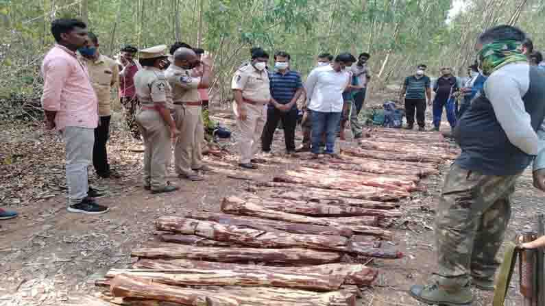 Red sandalwood Seized: ఆగని కలప అక్రమ రవాణా.. పది ఎర్రచందనం డంప్‌లను ఛేదించిన టాస్క్ ఫోర్స్..