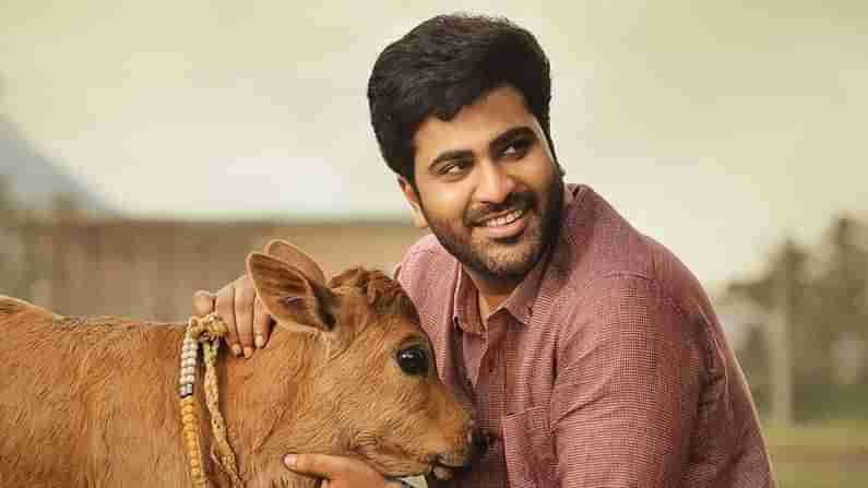 Sharwanand Movie: అనిల్ రావిపూడి దర్శకత్వంలో శర్వానంద్ సినిమా.. త్వరలోనే సెట్స్ పైకి..