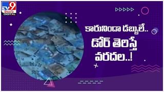 Viral Video: గాల్లోకి ఎగిరిన పావురాలు మాయం..! అంతా షాక్… అసలేం జరిగింది..! ( వీడియో )