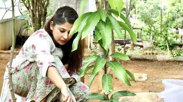 Smita Sabharwal: తన జన్మదినం సందర్భంగా మొక్కలు నాటిన స్మితా సబర్వాల్