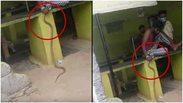 Man Bring Snake to Hospital : కాటేసిన పాముతో ఆస్పత్రికి వచ్చిన యువకుడు..! హడలిపోయిన డాక్టర్లు..