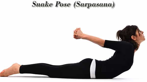 Sarpasana Benefits: భుజం నొప్పితో సతమతమవుతున్నారా.? సర్పాసం ట్రై చేయండి.. దీంతో ఇంకా ఎన్నో లాభాలు..