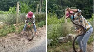 70 పులుల్ని చంపాడు..ఎట్టకేలకు చిక్కాడు. బాంగ్లాదేశ్ పోలీసులకు చిక్కిన టైగర్ హబీబ్ : Viral Video