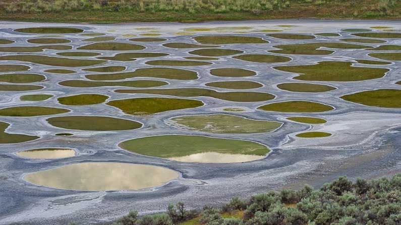 Spotted Lake : వేసవిలో ఈ సరస్సు నిండా వలయాలే.. ఒకొక్క వలయం ఒక్కోరంగులో దర్శనం ఇచ్చే వింత లేక్ ఎక్కడో తెలుసా