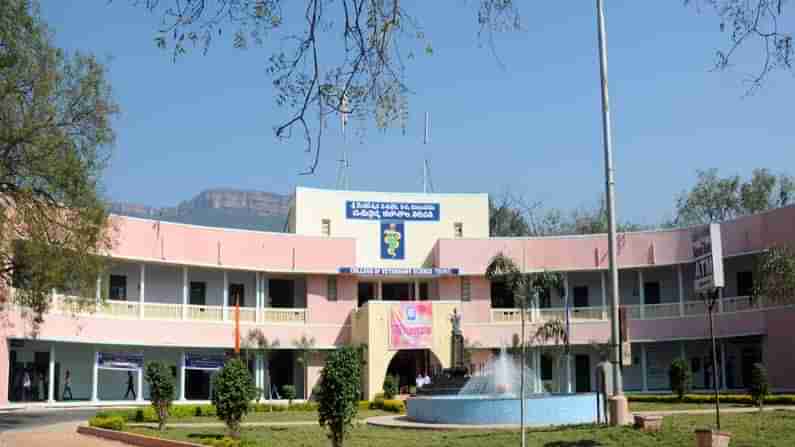 SVVU Tirupati: వెంక‌టేశ్వ‌ర వెట‌ర్న‌రీ యూనిర్సిటీలో ల్యాబ్ టెక్నీషియ‌న్ ఉద్యోగాలు.. ద‌ర‌ఖాస్తుల‌కు నేడే చివ‌రి తేదీ.