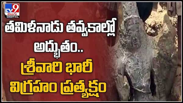 తమిళనాడు ఇంటి పునాది తవ్వకాల్లో బయటపడిన అతి పురాతన శ్రీ వారి భారీ విగ్రహం..:Lord Venkateswara Idol video.