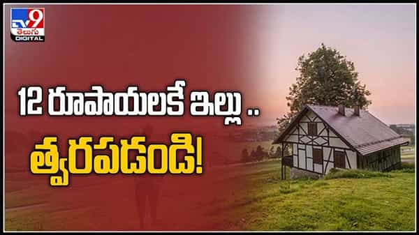 రూ.12లకే ఇల్లు..త్వరపడండి అంటూ ప్రభుత్వం బంపర్ ఆఫర్.. కానీ కండిషన్స్ అప్లై:new house at Rs 12 video.