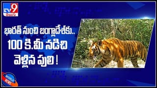 Solar Eclipse Video: భారత్‌లో సూర్యగ్రహణ ప్రభావం ఉండదంటున్న పండితులు.వైరల్ అవుతున్న వీడియో.