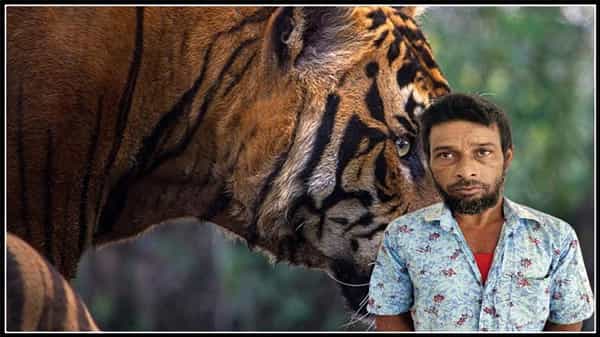 70 రాయల్ బెంగాల్ టైగర్లను చంపిన వేటగాడు హబీబ్ బంగ్లాదేశ్ లో అరెస్ట్.. ...20 ఏళ్లుగా పోలీసుల వేట