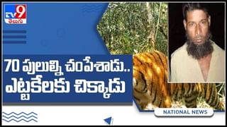 కలర్ ఫుల్ లెమర్స్ బలే డాన్స్ చేస్తున్నాయ్.యూరప్ లోని చెస్టర్ జూ లో అరుదైన లెమర్స్ : Viral Video