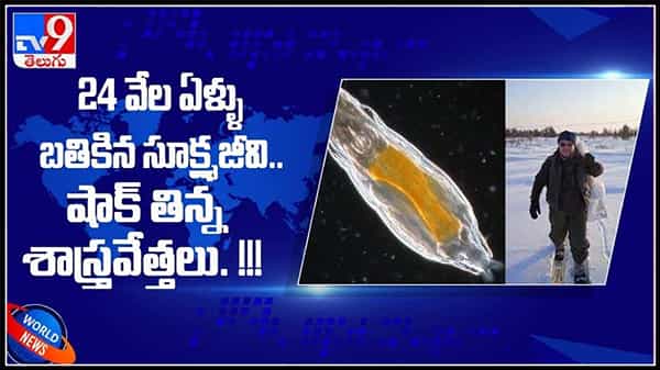 24 వేల ఏళ్ళు పాటు బతికే ఉన్న సూక్ష్మజీవి.. షాక్ తిన్న శాస్త్రవేత్తలు..!వైరల్ అవుతున్న వీడియో.:microorganism 24000 years video.