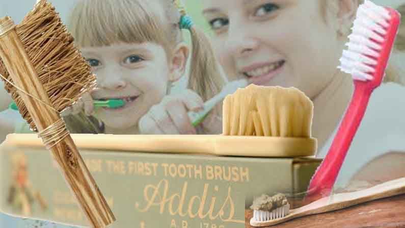 Tooth Brush Story: మొదటి టూత్ బ్రష్ పంది వెంట్రుకలతో తయారైంది..ఎక్కడో..ఎప్పుడో తెలుసా?