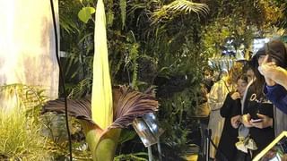 Pullela Gopichand: ఇప్పుడు రోనాల్డో చేసిన పని ఇరవై ఏళ్ల క్రితమే మన పుల్లెల గోపీచంద్ చేశాడు..ఏమిటో తెలుసా?