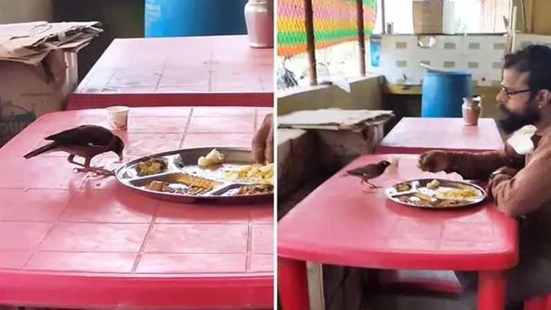 Viral Video:  దాబాలో భోజనం చేస్తున్న ఓ వక్తి.. ఆకలితో వచ్చిన పక్షి .. అతను చేసిన పనికి నెటిజన్లు ఫిదా