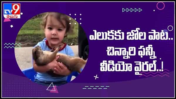 Viral Video: ఎలుకకు జోలపాట పడుతున్న మూడేళ్ళ పాప..వైరల్ అవుతున్న వీడియో.