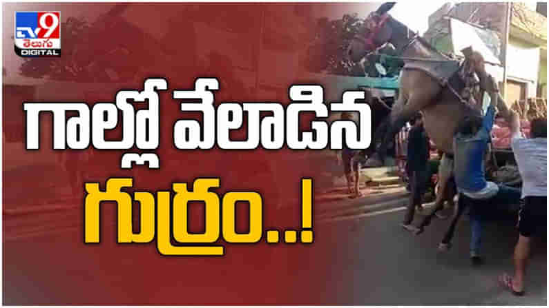 Viral‌ Video : గాల్లో వేలాడిన గుర్రం.. మనిషి చేసే తప్పులు జంతువులకు ముప్పు... ( వీడియో )