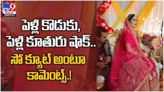 Viral Video: ఎర కోసం పిల్లి పాచికలు.. చుట్టుముట్టి ముప్పుతిప్పలు పెట్టిన పక్షులు.. వైరల్ వీడియో