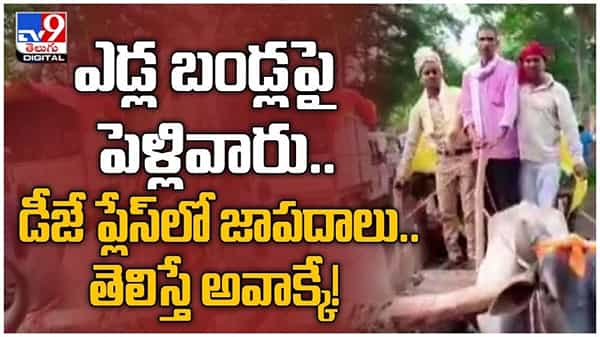 ఎడ్ల బండ్లపై పెళ్లి ఊరేగింపు.. జానపద పాటలు పాడుతూ... డాన్స్ చేస్తూ... ( వీడియో )