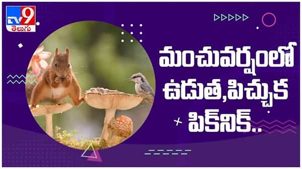 Viral Video: మంచు వర్షంలో ఉడుత, పిచ్చుక పిక్నిక్... ప్రస్తుతం నెట్టింట వైరల్ వీడియో..