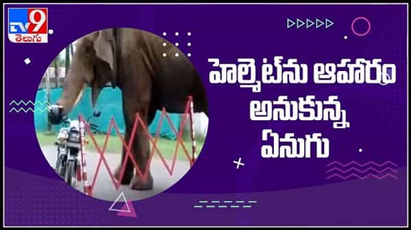 హెల్మెట్ ను ఆహరం అనుకున్న ఏనుగు..!కాదని తెలిసిన ఎం చేసిందో తెలుసా..?వైరల్ అవుతున్న వీడియో:Elephant Viral Video