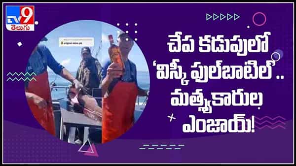 చేప కడుపులో విస్కీ ఫుల్ బాటిల్ మత్స్యకారుల ఎంజాయ్ ..వైరల్ వీడియో :whisky inside fish Viral video.