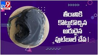 Viral Video: తాటి చెట్లపై ఒక్క సారిగా చెలరేగిన మంటలు షాకింగ్ వీడియో…!!