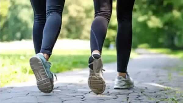 Weight Loss Tips: బరువు తగ్గాలనుకుంటున్నారా? ఈ 5 వ్యాయామాలు రెగ్యూలర్గా చేయండి..