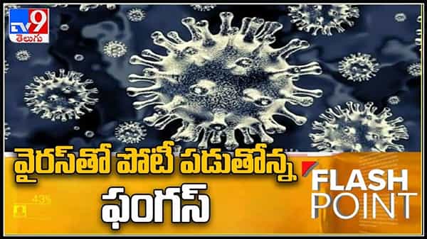 Flash Point : కరోనా వైరస్ కి బ్లాక్ ఫంగస్ కి లింకేంటి? విస్తుపోయే నిజాలు వెల్లడించిన టీవీ9.