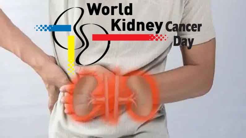 World Kidney Cancer Day: దీర్ఘకాలిక కిడ్నీ వ్యాధులు కిడ్నీ క్యాన్సర్ కు కారణం కావచ్చు..కిడ్నీ క్యాన్సర్ గురించి తెల్సుకోండి 