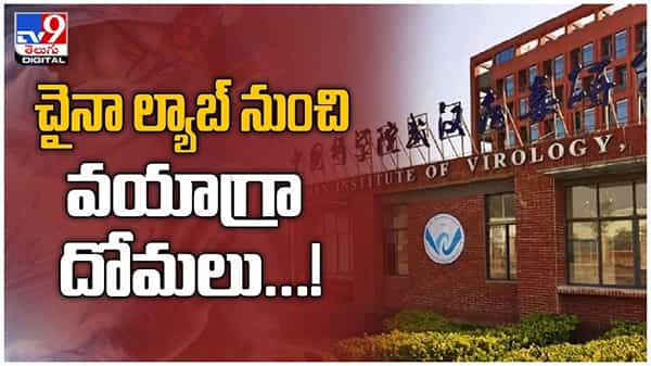 Viral Video: చైనా ల్యాబ్ నుంచి బయటకొచ్చిన వయాగ్రా దోమలు....!! ( వీడియో )