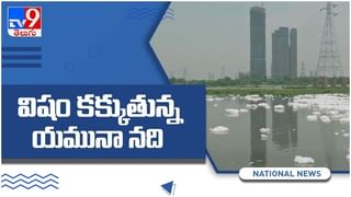 రంగారెడ్డి కిస్మత్‌పూర్‌ గ్రామ వాగులో మొసలి పిల్లలు మృతి… అటవీ శాఖ అధికారులకు పిర్యాదు చేసిన గ్రామస్థులు… ( వీడియో )