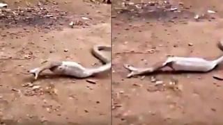 అంతుచిక్కని రహస్యం.. ఆ ప్రదేశంలోకి వెళ్లిన వారు ఇప్పటికీ తిరిగిరాలేదు.. సిటీ ఆఫ్ ది డెడ్..