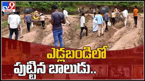 భారీ వర్షాలు ఆ గ్రామానికి శాపాలుగా మారాయి.. ఎడ్లబండి లోనే ప్రసవించిన మహిళ..:woman gave birth in cart Video.
