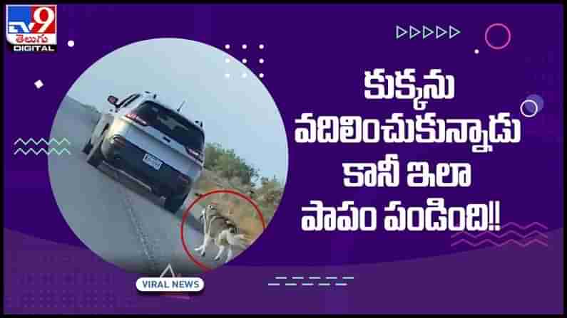 Viral Video: కుక్కను వదిలించుకున్నాడు.. పాపం పండింది.. వీడియో