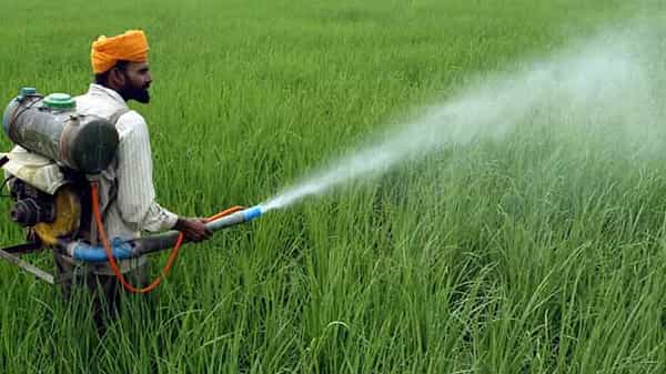 Aerosols: పెయింట్స్..పురుగుమందుల కారణంగా ప్రతిఏటా లక్షలాది మరణాలు.. తాజా పరిశోధనల్లో వెల్లడి!